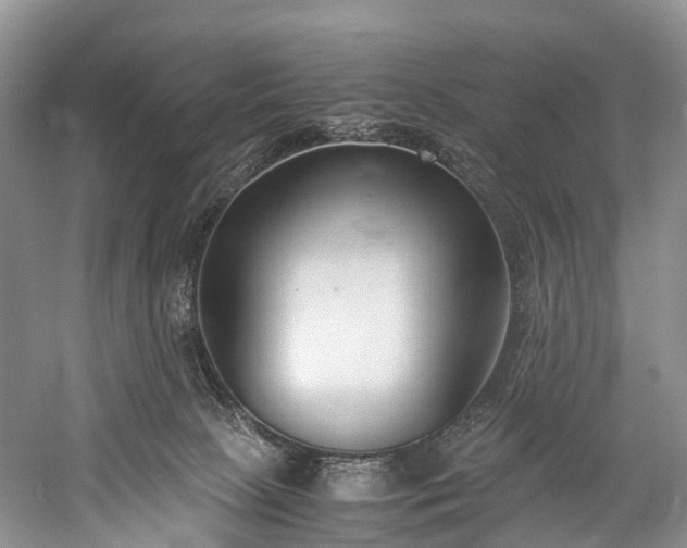 X0000060230081200510281146