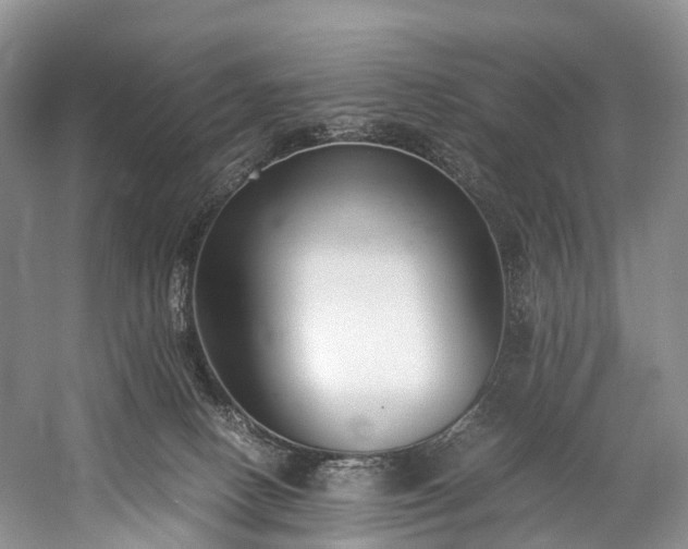 X0000060230082200510281146