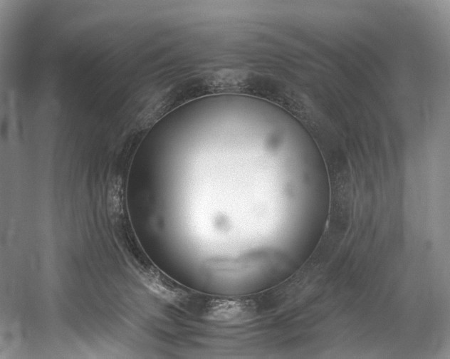 X0000060230083200510281146