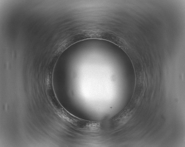 X0000060230084200510281146