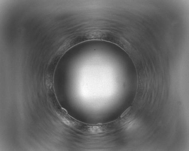 X0000060230091200510281146