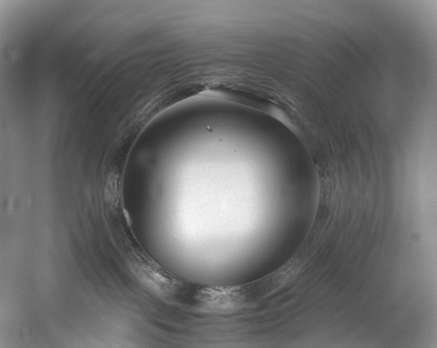 X0000060230093200510281146