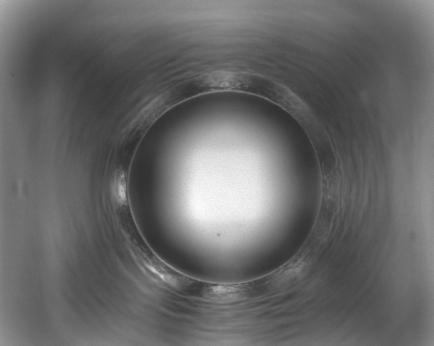 X0000060230095200510281146