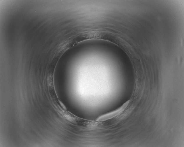 X0000060230096200510281146