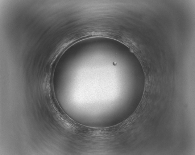 X0000060230098200510281145