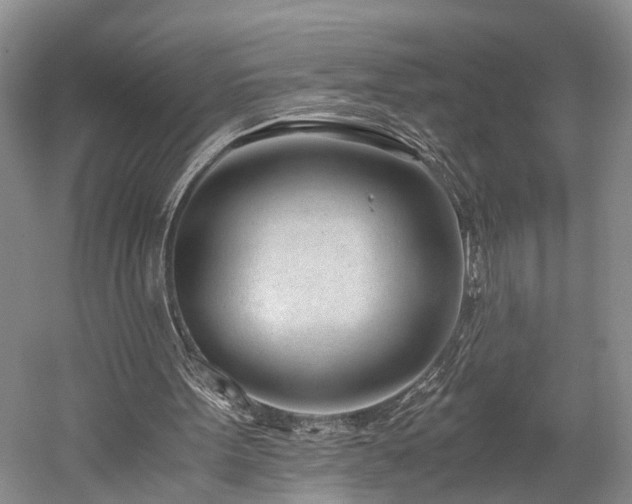 X0000060230099200510281145