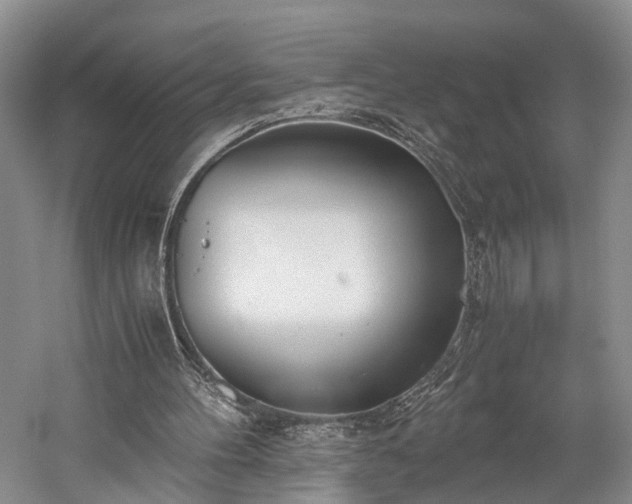 X0000060230100200510281145