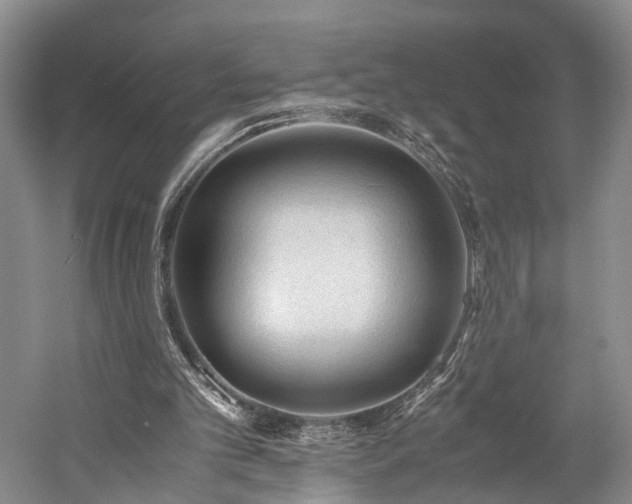 X0000060230101200510281145