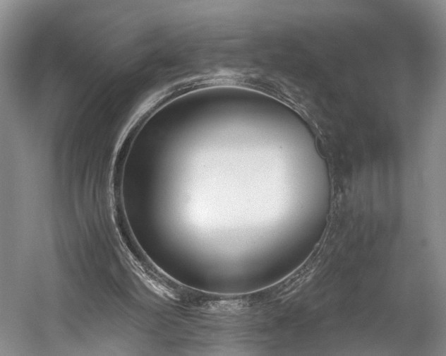 X0000060230102200510281145