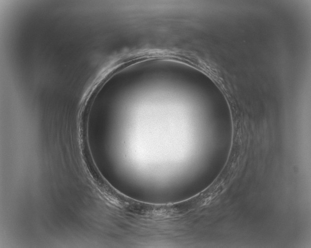 X0000060230103200510281145