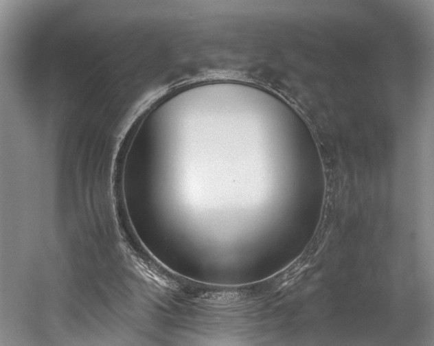 X0000060230104200510281145