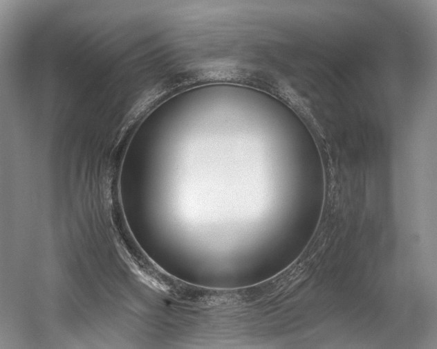 X0000060230106200510281145