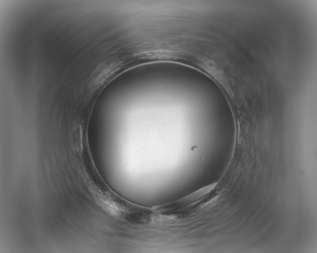 X0000060230109200510281145