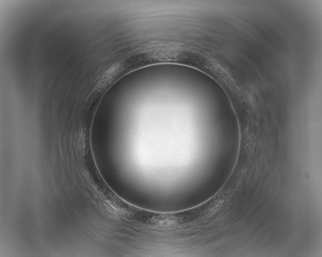 X0000060230113200510281145