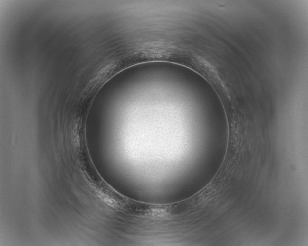 X0000060230114200510281145