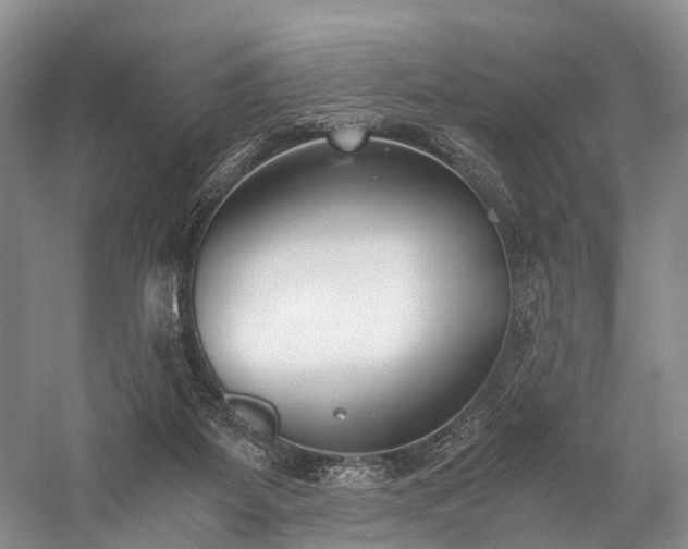 X0000060230115200510281145