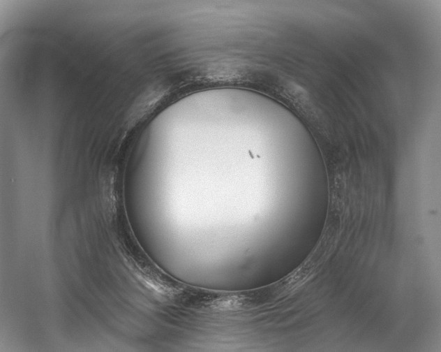 X0000060230116200510281145