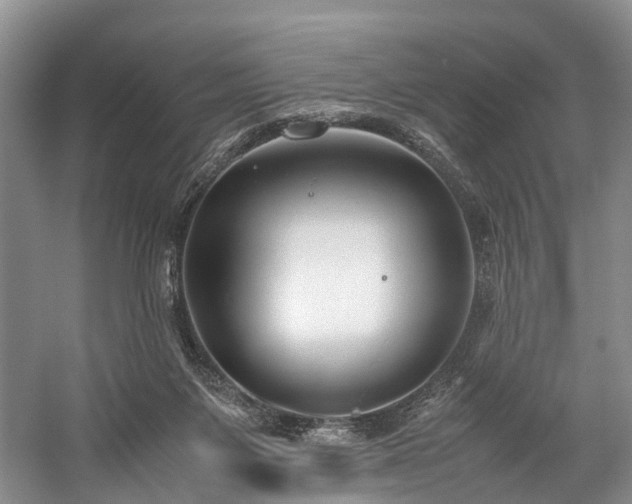 X0000060230119200510281145