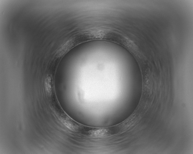 X0000060230122200510281145