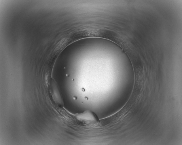 X0000060230123200510281145