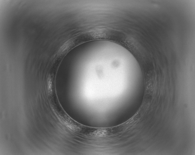 X0000060230124200510281145