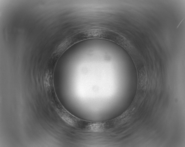 X0000060230126200510281145