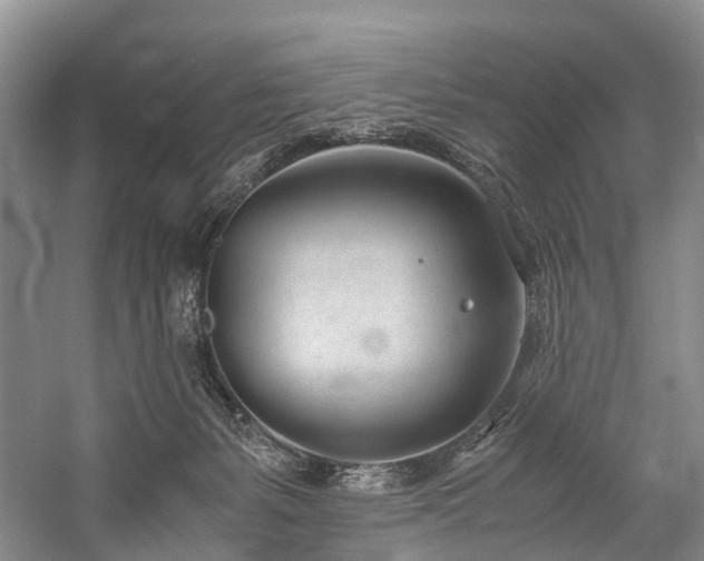 X0000060230127200510281145