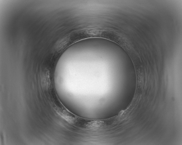 X0000060230128200510281145