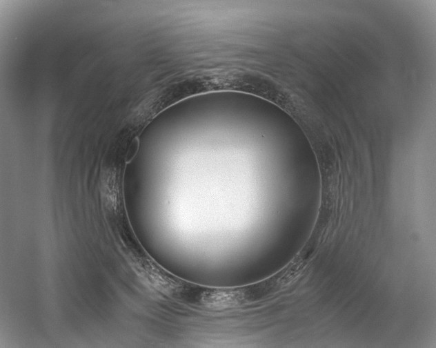 X0000060230129200510281145