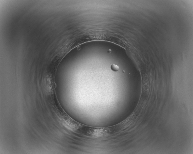 X0000060230130200510281145