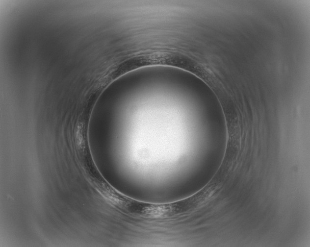 X0000060230131200510281145