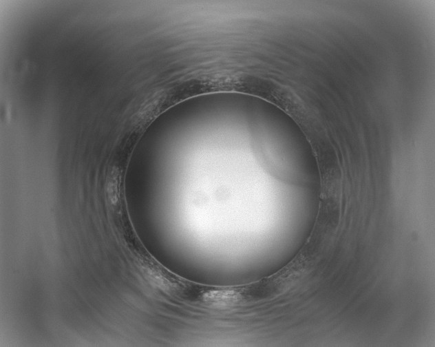 X0000060230133200510281145