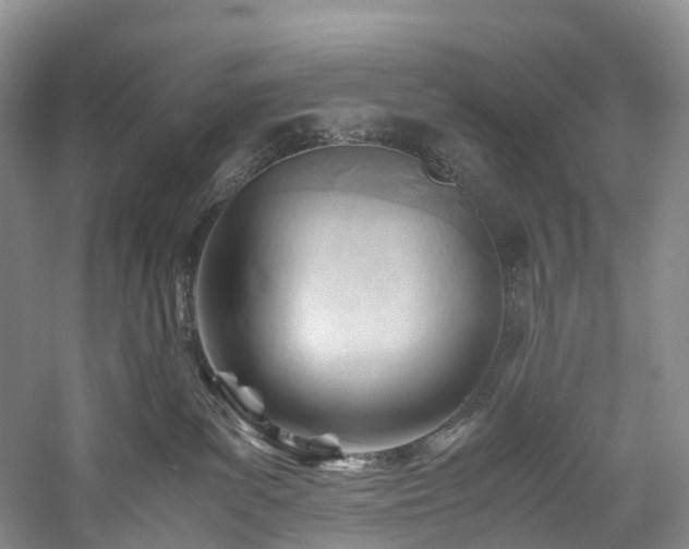 X0000060230139200510281144