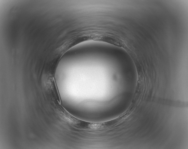 X0000060230141200510281144