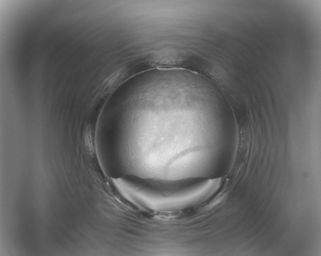 X0000060230143200510281144