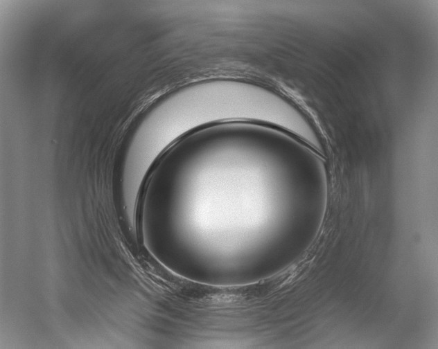 X0000060230154200510281144