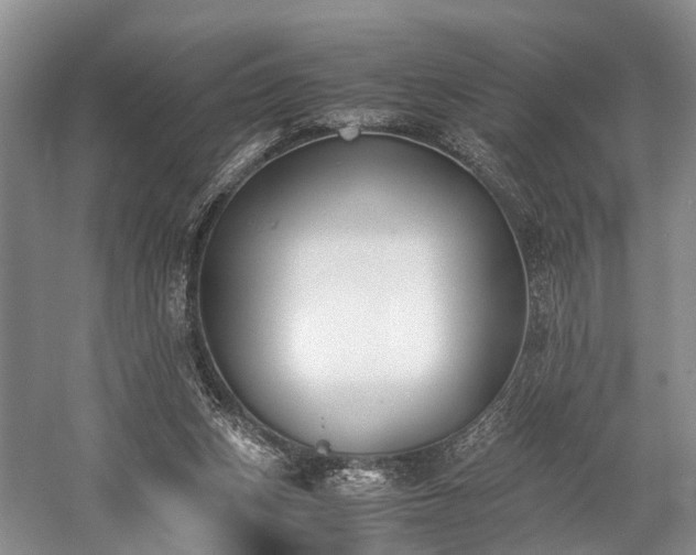 X0000060230159200510281144