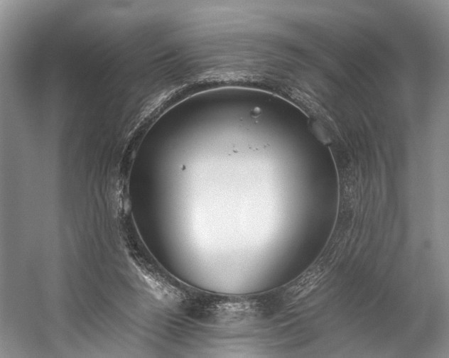 X0000060230160200510281144