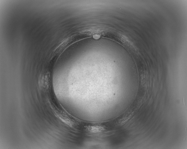 X0000060230165200510281144