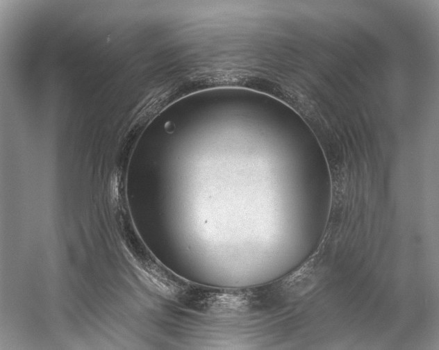 X0000060230166200510281144