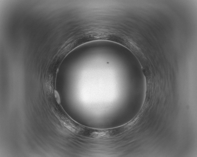 X0000060230170200510281144