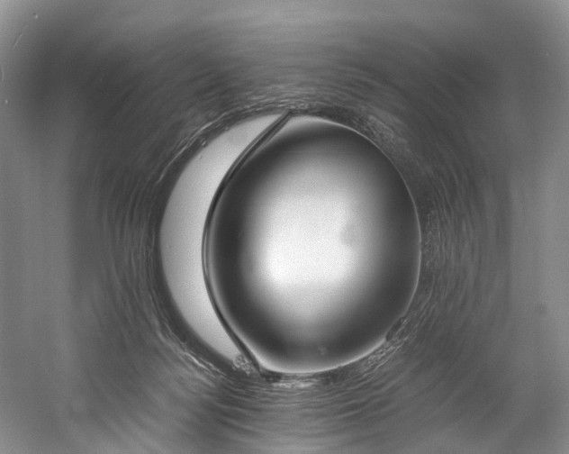 X0000060230172200510281144
