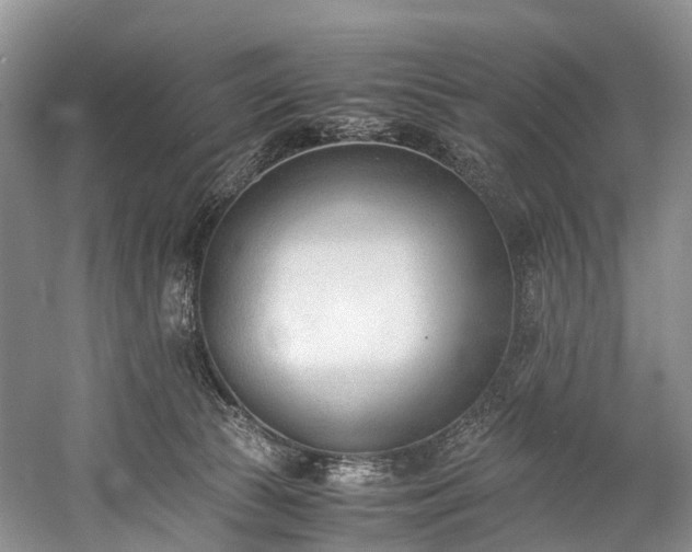 X0000060230177200510281144