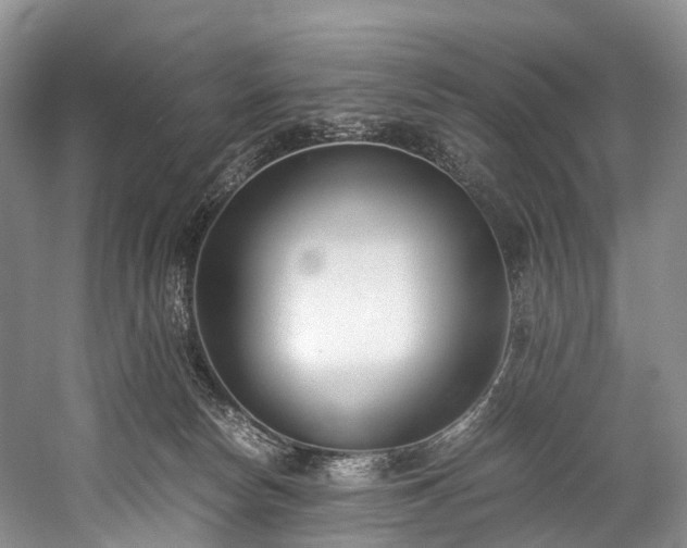 X0000060230178200510281144