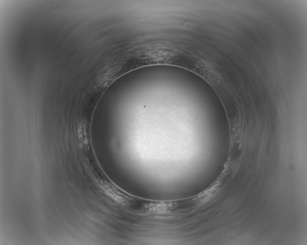 X0000060230182200510281144