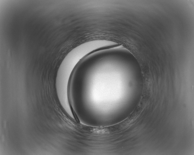 X0000060230185200510281144