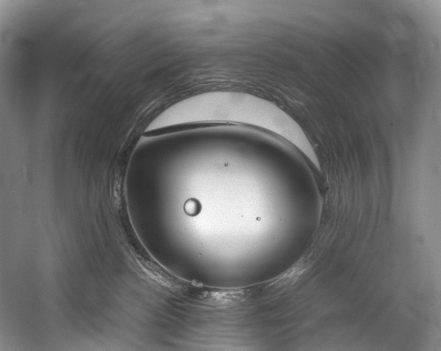 X0000060230188200510281144