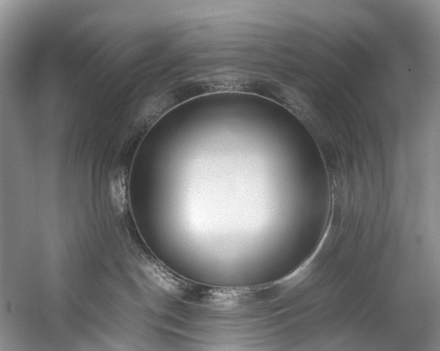 X0000060230190200510281144