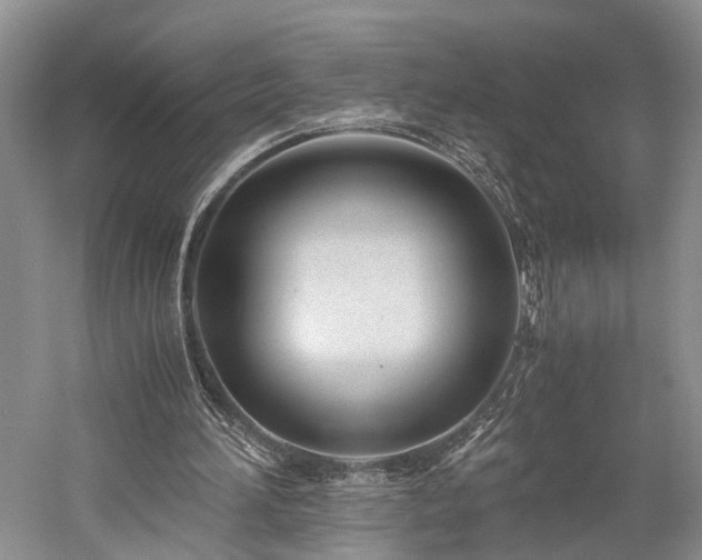 X0000060230196200510281143