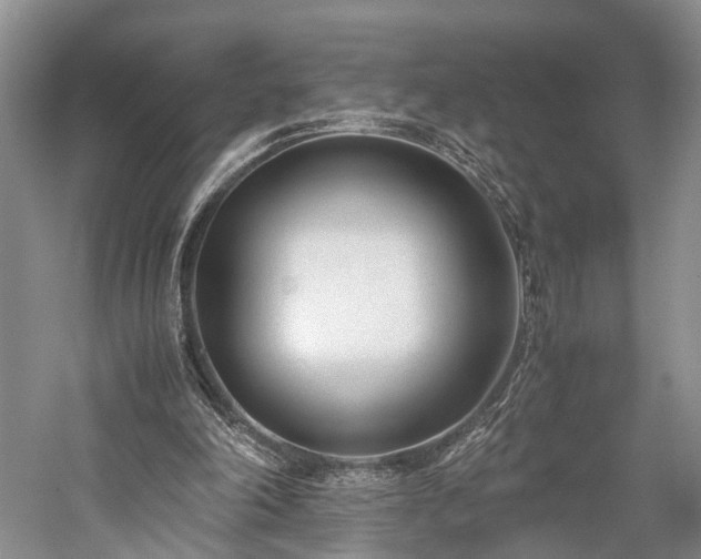 X0000060230198200510281143